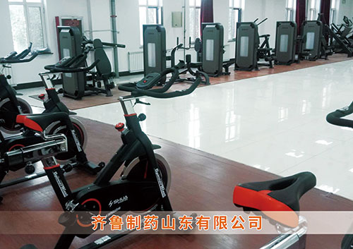 ​多多28为齐鲁制药呼和浩特分公司打造健身房